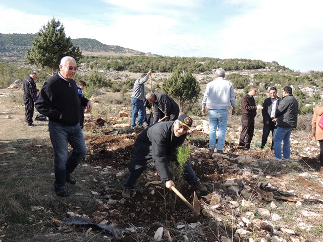DSCN1667_Kopyala