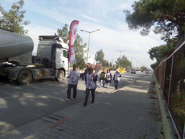 SAM_0809_Kopyala